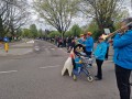 Cascaderun_01